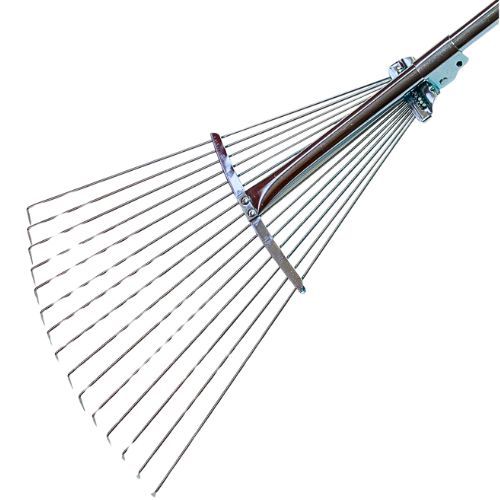 GRABLJE LIŠĆE NASAĐENE