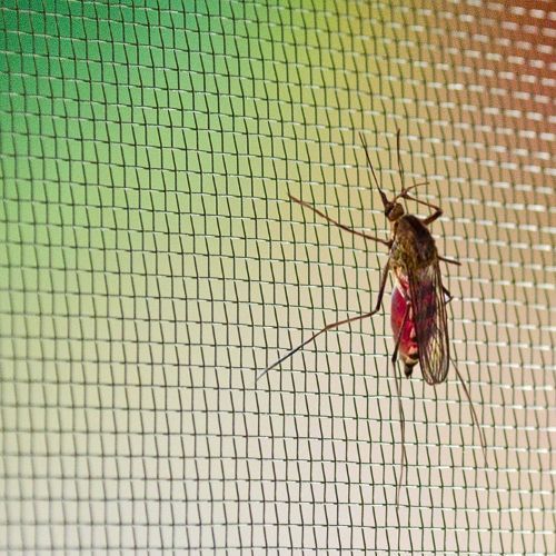 MREŽA ALUMINIJSKA 18X14 120CM