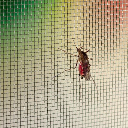 MREŽA FIBERGLAS 1,2X30