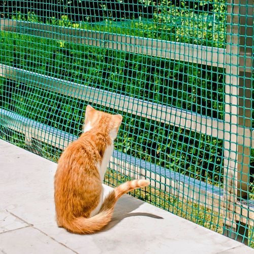 MREŽA PLASTIČNO OKO 10MMX10MM H1X50M