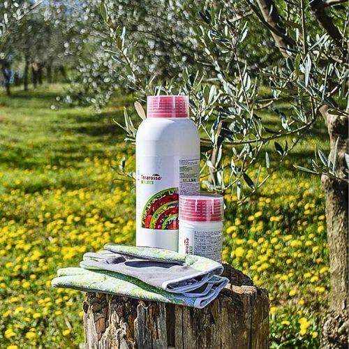 TERAROSSA BOR 150 1L