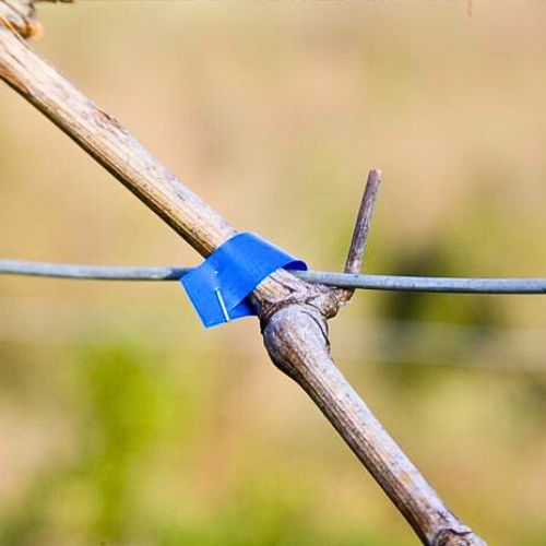 PUNTE ZA VEZAČICU TICK