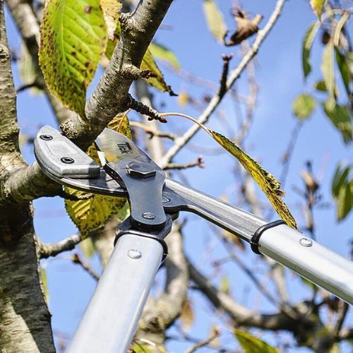 ŠKARE ZA GRANE TICK 85CM