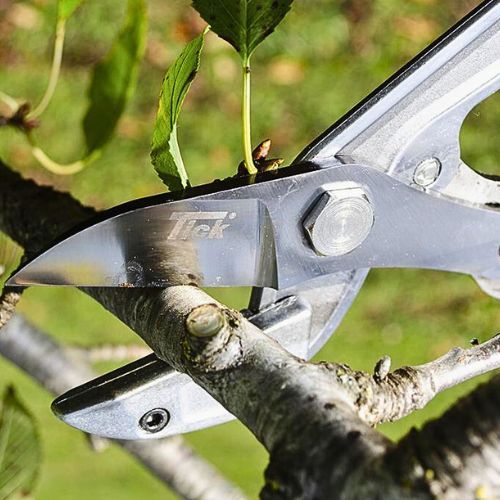 ŠKARE ZA GRANE TICK 85CM