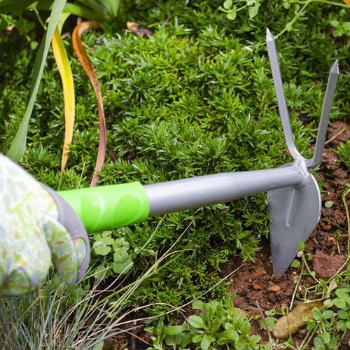 MOTIČICA MINI SRČASTA