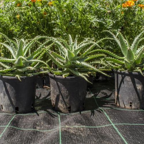 PLATNO PROTIV KOROVA 1X5M