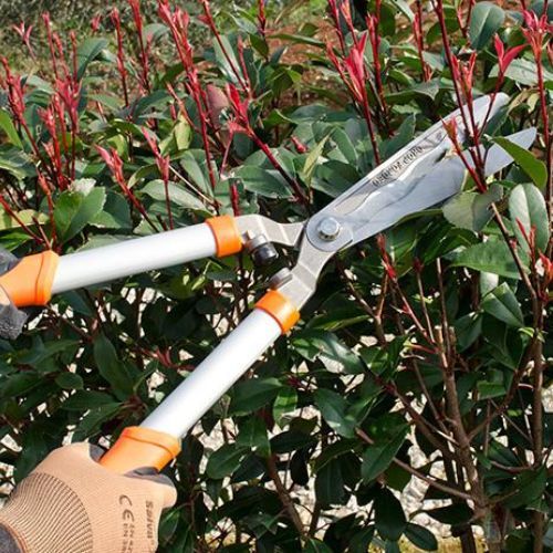 ŠKARE TICK 60 ZA ŽIVICU