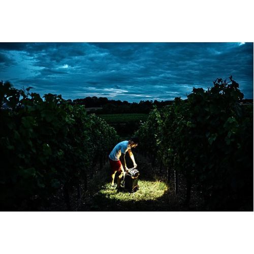 SVJETILJKA NAGLAVNA LEDLENSER H7R CORE CRNA