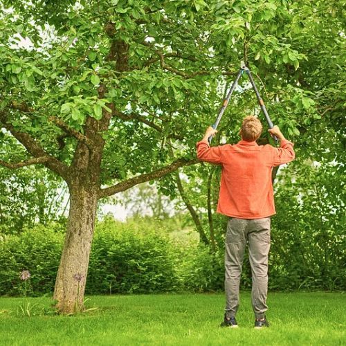 GARDENA ŠKARE ZA GRANE TELECUT PRO L