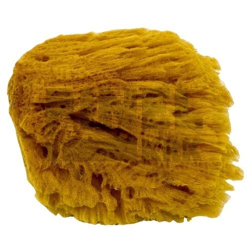 BOLDRINI SPUŽVA DEKOR KARIBI 16