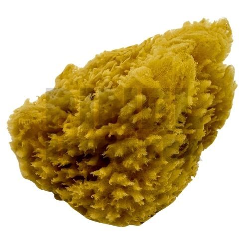 BOLDRINI SPUŽVA DEKOR KARIBI 14