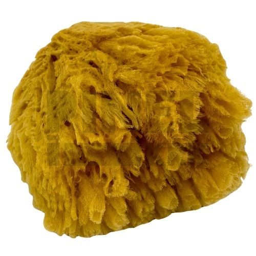 BOLDRINI SPUŽVA DEKOR KARIBI 14