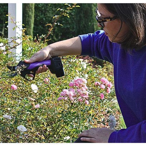 CAMPAGNOLA AKU ŠKARE SL23