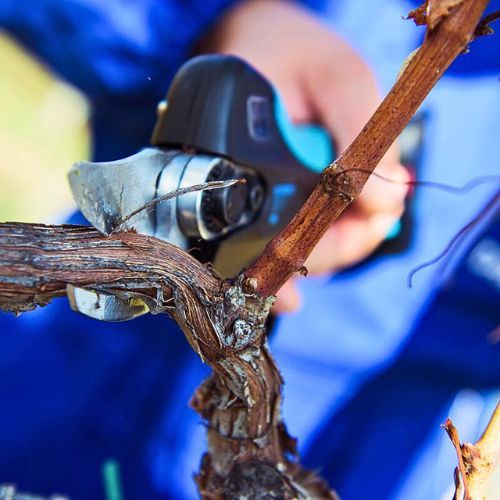 CAMPAGNOLA AKU ŠKARE STARK XM (3 AKUMULATORA+BRUS. KAMEN)