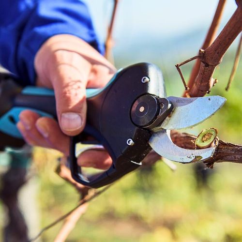 CAMPAGNOLA AKU ŠKARE STARK XM (3 AKUMULATORA+BRUS. KAMEN)