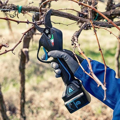 CAMPAGNOLA AKU ŠKARE NOVA-35 S BATERIJOM 2,5AH I PUNJAČEM