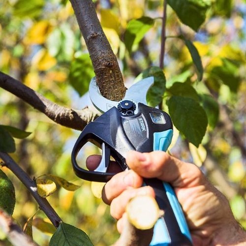 CAMPAGNOLA AKU ŠKARE STARK XL (3 AKUMULATORA+PUNJAČ)