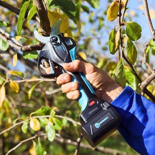 CAMPAGNOLA AKU ŠKARE STARK XL (3 AKUMULATORA+PUNJAČ)