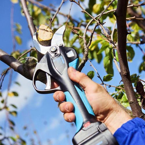 CAMPAGNOLA AKU ŠKARE STARK XL (3 AKUMULATORA+PUNJAČ)