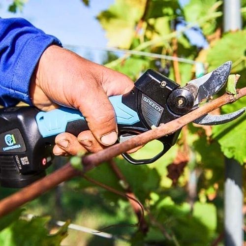 CAMPAGNOLA AKU ŠKARE SPEEDY