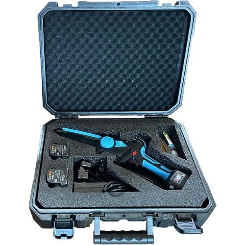 CAMPAGNOLA AKU PILA FURY XM (2 aku)