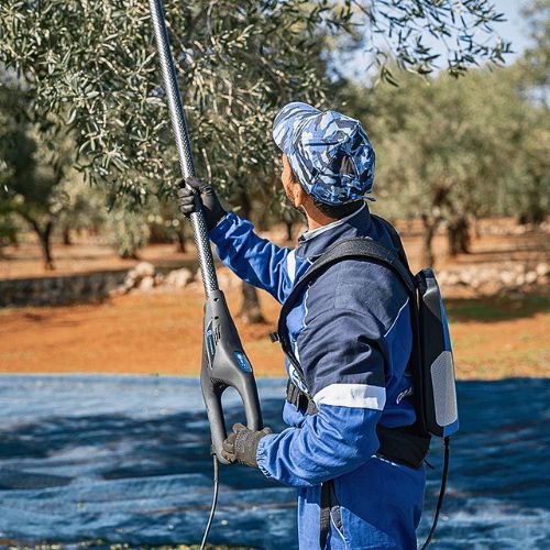 CAMPAGNOLA TRESAČ MASLINA ALICE LEĐNI CARB.185/270 PREMIUM