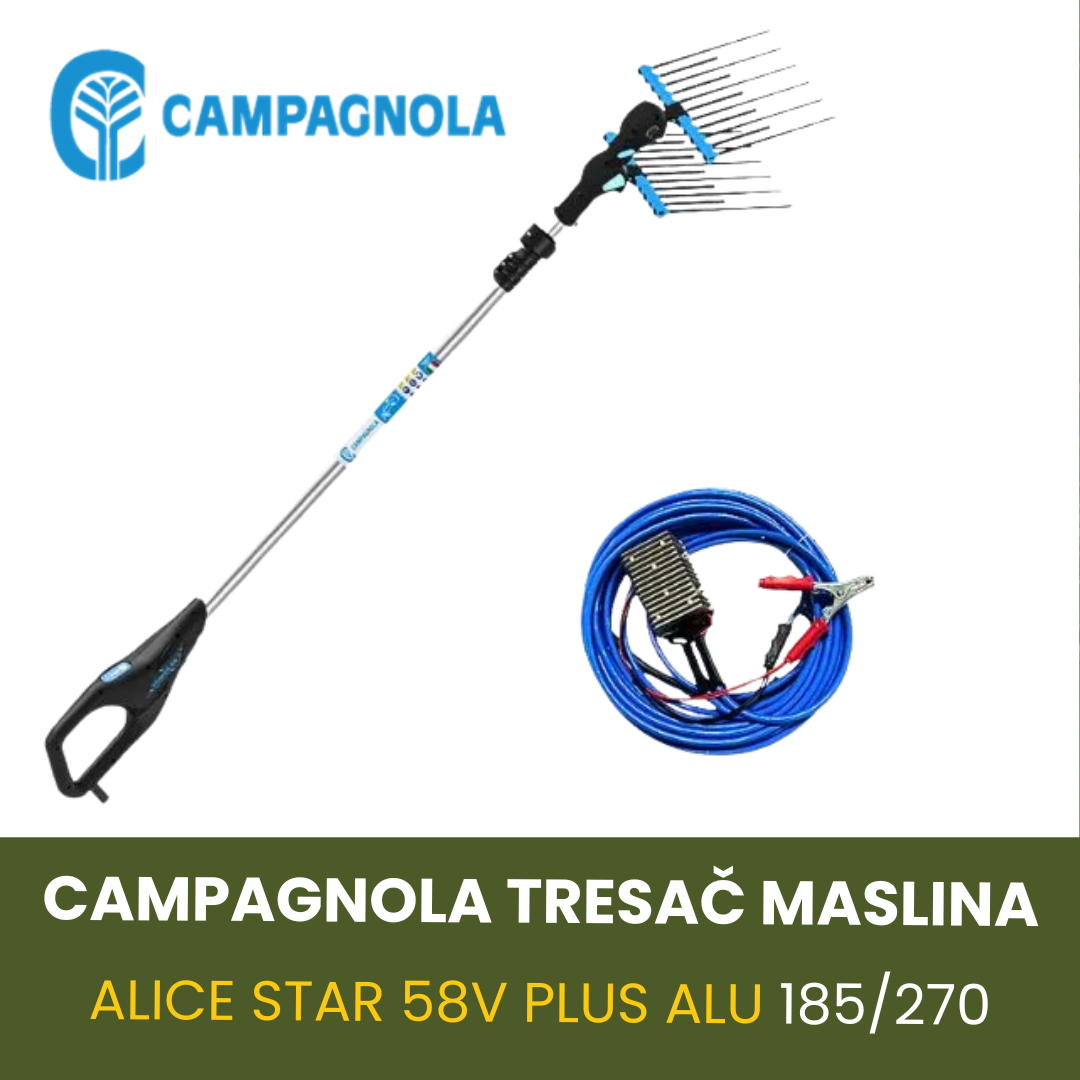 CAMPAGNOLA TRESAČ MASLINA ALICE STAR 58V PLUS ALU 185/270