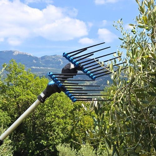 CAMPAGNOLA TRESAČ MASLINA ALICE STAR 58V PLUS ALU 185/270