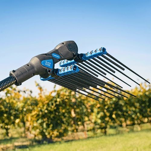 CAMPAGNOLA TRESAČ MASLINA ALICE STAR 58V PLUS CARB.150/220