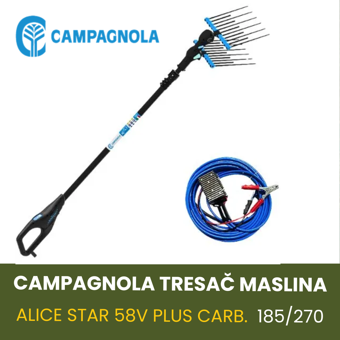 CAMPAGNOLA TRESAČ MASLINA ALICE STAR 58V PLUS CARB.185/270