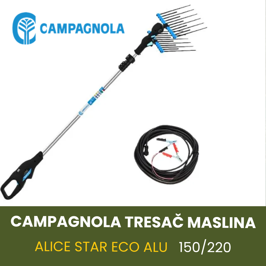 CAMPAGNOLA TRESAČ MASLINA ALICE STAR ECO ALU 150/220