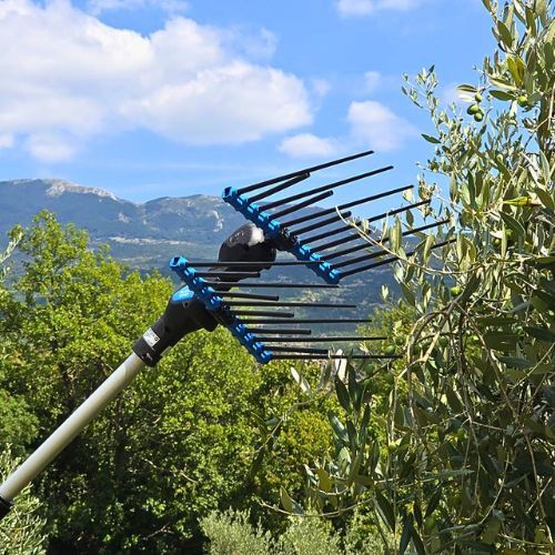 CAMPAGNOLA TRESAČ MASLINA ALICE STAR ECO ALU PLUG IN 150/220
