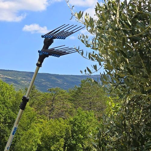 CAMPAGNOLA TRESAČ MASLINA ALICE STAR ECO ALU PLUG IN 150/220