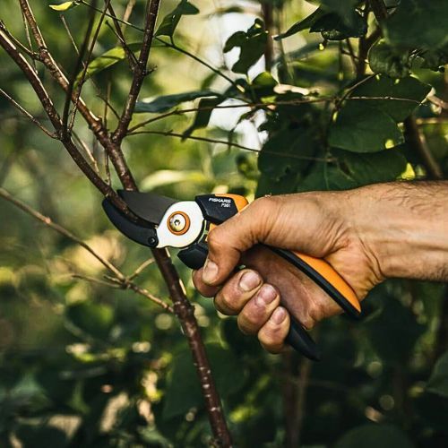 FISKARS ŠKARE VRTNE NAKOVANJSKE P361 1057165