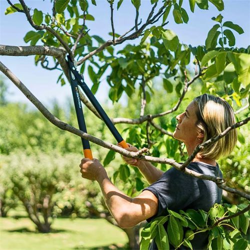 FISKARS ŠKARE ZA GRANE 545MM L74 1000582P