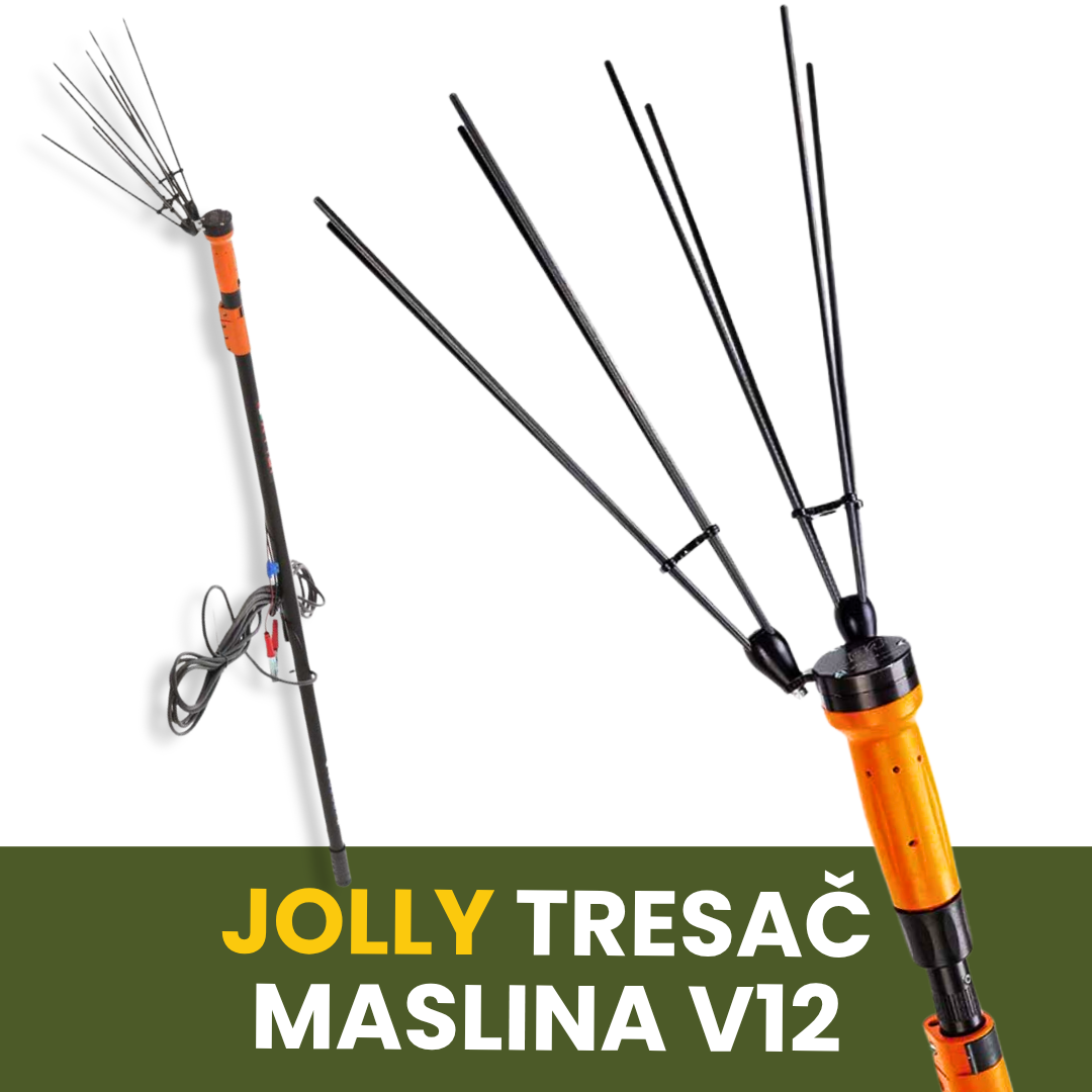 JOLLY TRESAČ MASLINA V12