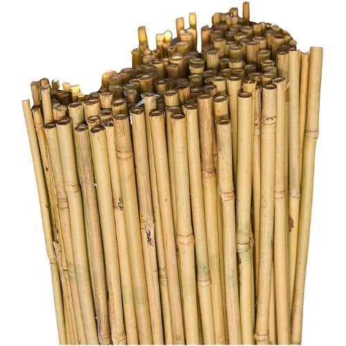 KOLAC BAMBUS 150CM FI 10-12 MM