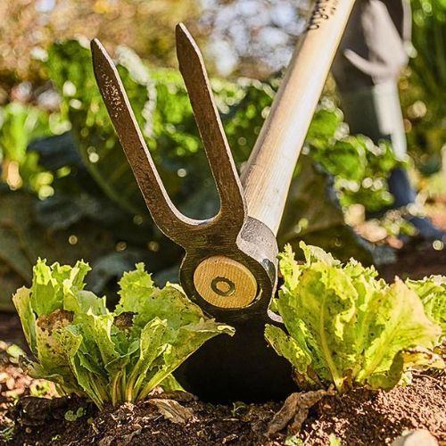 MOTIKA SRCE KOVANA 500G-NASAĐENA