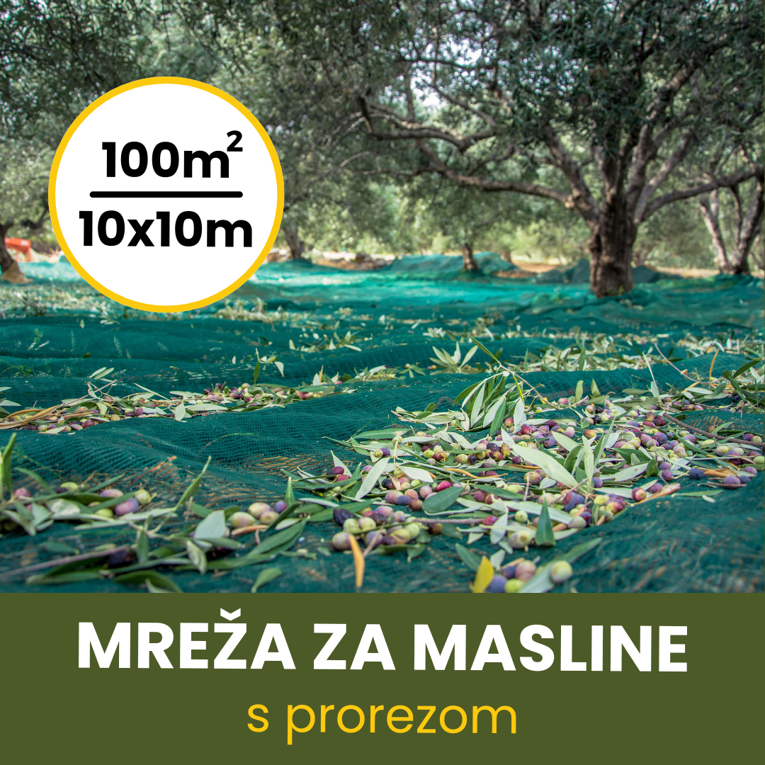 MREŽA ZA MASLINE 10X10 SA PROREZOM