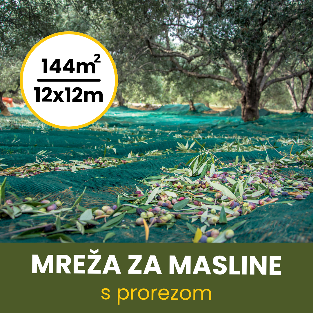 MREŽA ZA MASLINE 12X12 SA PROREZOM