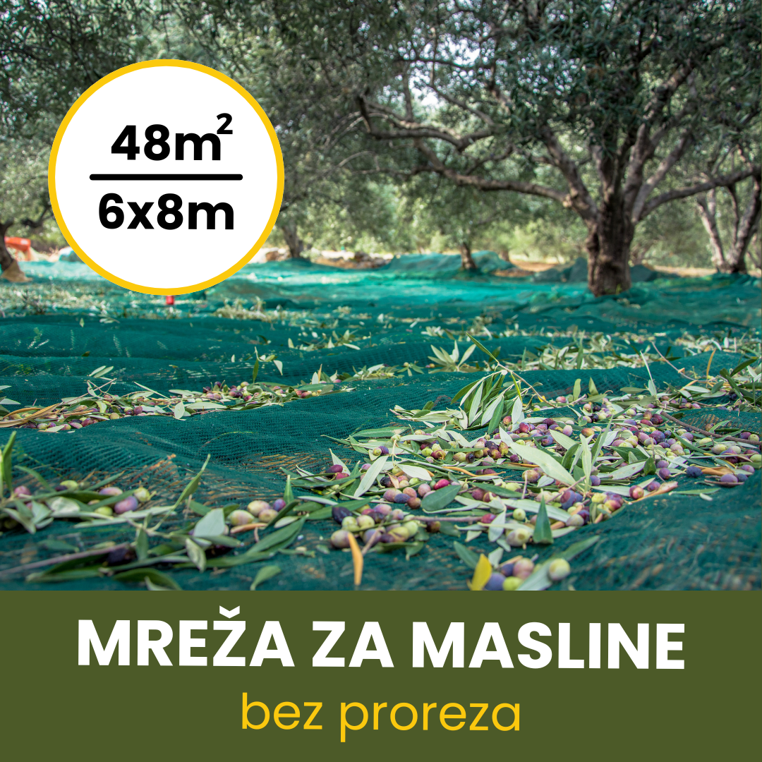 MREŽA ZA MASLINE 6X8 BEZ PROREZA