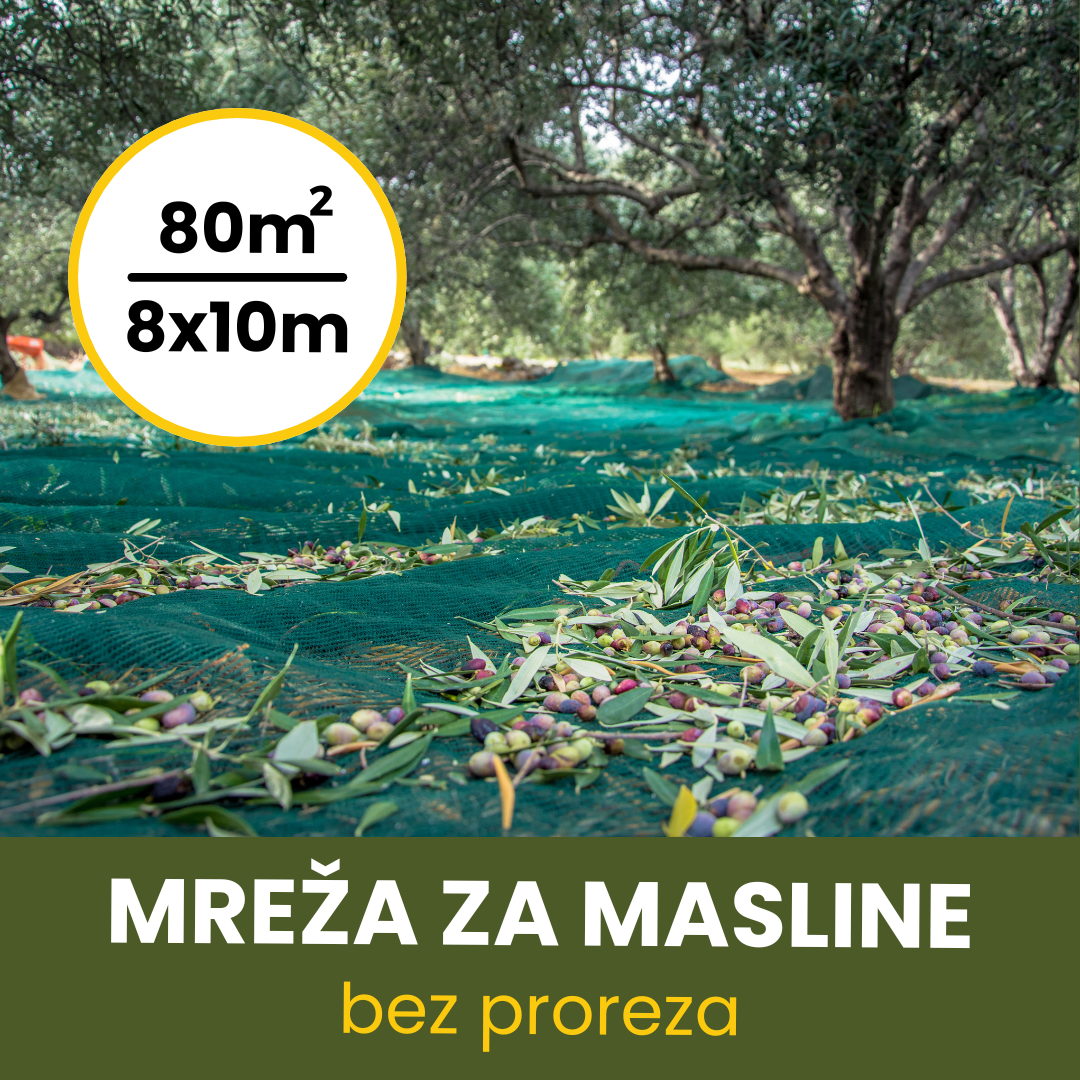 MREŽA ZA MASLINE 8X10 BEZ PROREZA