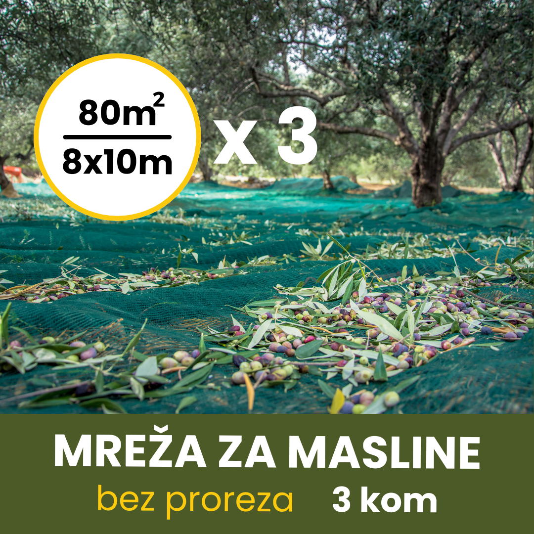 MREŽA ZA MASLINE 8X10 BEZ PROREZA 3kom