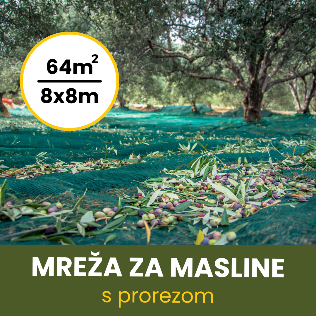 MREŽA ZA MASLINE 8X8 SA PROREZOM