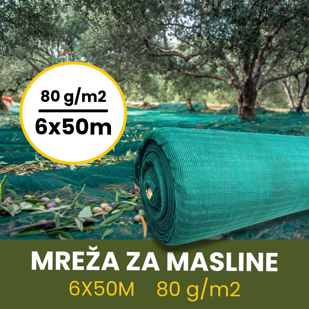 MREŽA ZA MASLINE 6X50M 80 g/m2