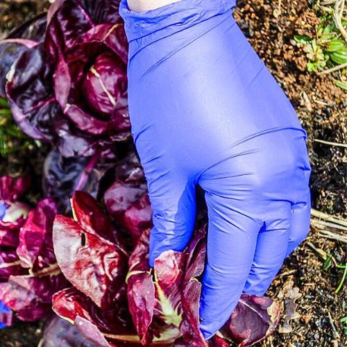 RUKAVICE NITRIL LITE PLAVE L 100/1