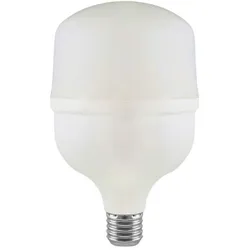 ŽARULJA LED 30W E27 T100 6500K | Pinel Krk