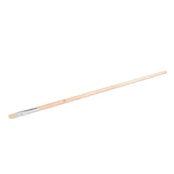 KISTIĆ PLOSNATI 103P D4 | Pinel Krk