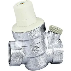 REDUKCIJA CALEFFI 1/2 533441 | Pinel Krk