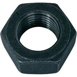 MATICA CRNA M12 USKA | Pinel Krk